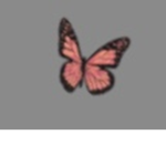 Alexvsp_