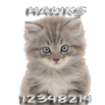 ダ HAWKS