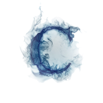 zenq's group