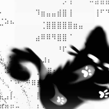 Black Playful Cat 