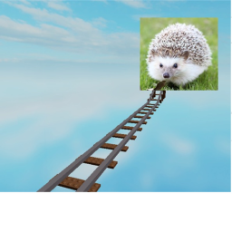 Cart Ride into Cute hedgehog!