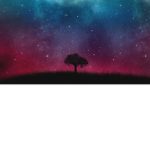 Books Forever