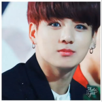 Nesa sed bts army funds
