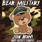 bear_military