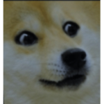 Best Friend Doge it’s your doge daily day