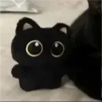 catcatcatdotlol