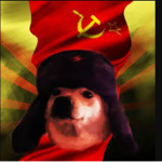 TheMemeUnion