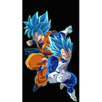 Goku_and_Vegeta