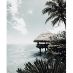 Vibes~Clothes