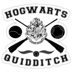 Hogwarts Quidditch Teams!