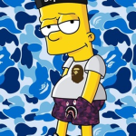 beta_hoodd1