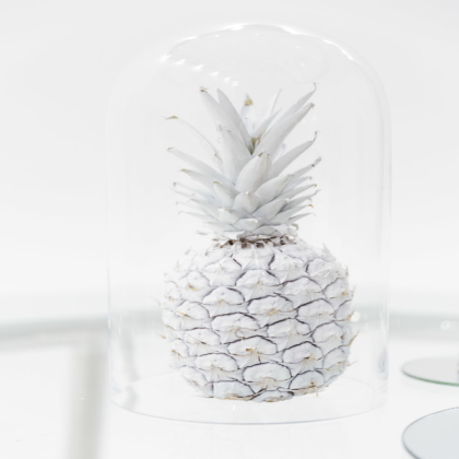 white aesthetic Roblox decal