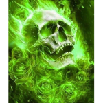 The skull......