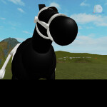 Random Stuff (I only made this for content so dont