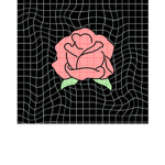 ._.roses._.