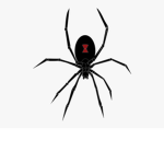 WIDOW CREATE
