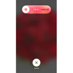 Coral4819 Fan Group