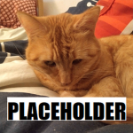 Expletive Neko Studios