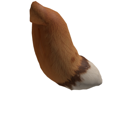 Fox Tail
