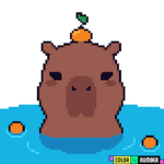 Capybara fan group:)