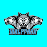 Washington Wolfpack (RNHL)