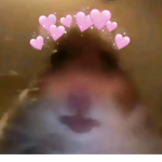 Laura_Tiktoker