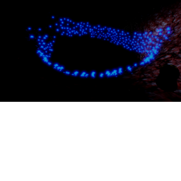 Survive The Abyssal Copepod: 2.0