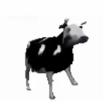 Polishcow.L