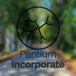 Pentium Incorprate.