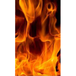 #fireNation :)