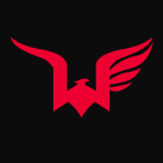 Night Wing Commandos