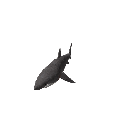 Shark Character (NOT MINE)