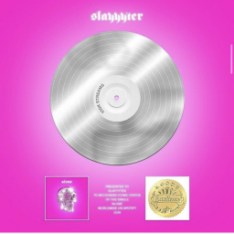 *:･ﾟ✧*:･ﾟ
