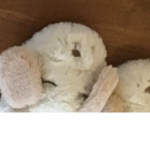 Bunny’s are my life uNu