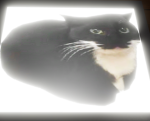 LinKingYT