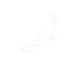usjet. || RBLX