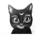 Dark Cats For Life <3