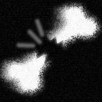 Bones Development
