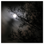 Mysterious Shadows