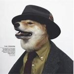 Sly United
