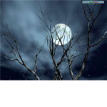 Midnight Assult Legion