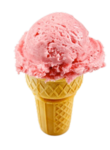 THE ICE CREAM GANG!