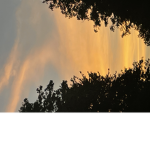 bloxy.alexis.group