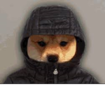 kimi attempts clothing