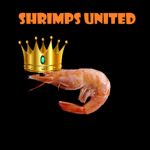 Shrimps United : )