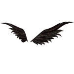 Spell Conjuring Cursed Crow Wings