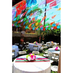 Mexican Party