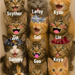Meow // Private Fg