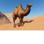 robux for esteban because he wants a race