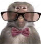 capybara enthusiasts club Group Thumbnail